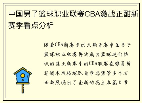 中国男子篮球职业联赛CBA激战正酣新赛季看点分析